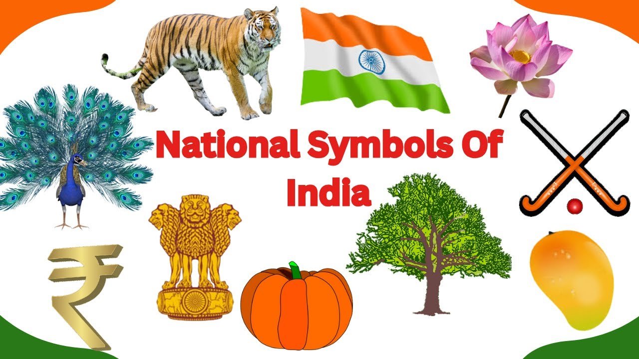 The Complete Guide to Understanding the National Symbols of India and Their Meanings